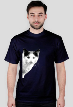 funny suprising cat