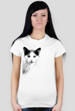 funny suprising cat