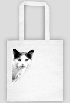 funny suprising cat