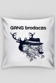 [PODUSZKA] GANG BRODACZA