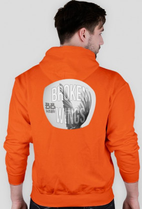Broken wings - męska bluza (różne kolory)