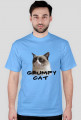 Grumpy cat