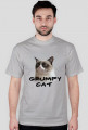 Grumpy cat