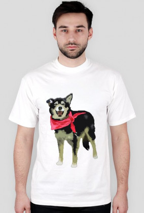 Koszulka męska - Pixelart - Pies Stasio