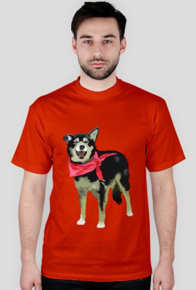 Koszulka męska - Pixelart - Pies Stasio