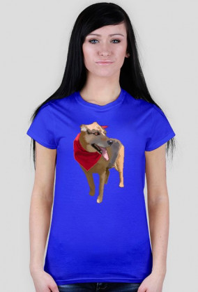 Koszulka damska - Pixelart - Pies Zelinka