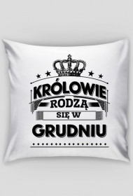 Poszewka krolowie rodza sie w grudniu