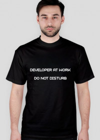 developer-at-work-2