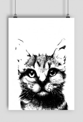 Plakat kot