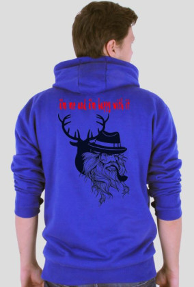 bluza