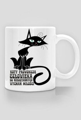 koty prowokują