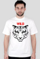 wild tiger