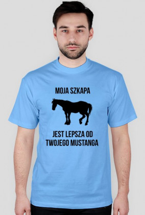 Moja szkapa