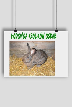 Obrazek na Ścianę