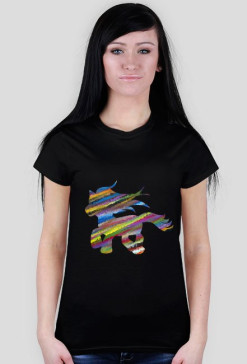 Rainbow pony (różne kolory)