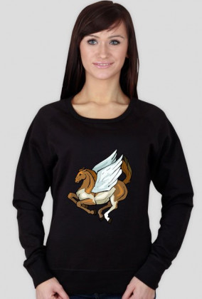 Bluza pegaz (różne kolory)