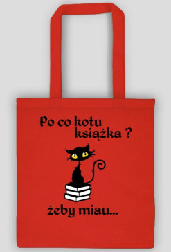 Kotek