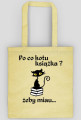Kotek