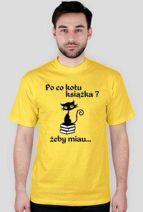 Kotek