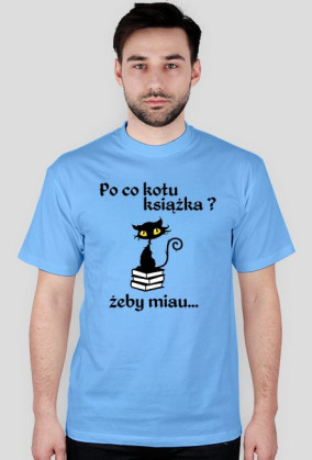 Kotek