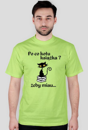 Kotek