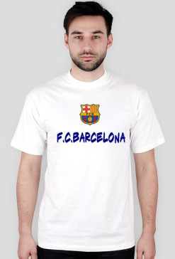 BARCA POWER