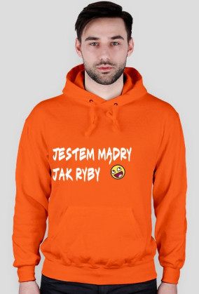Bluza