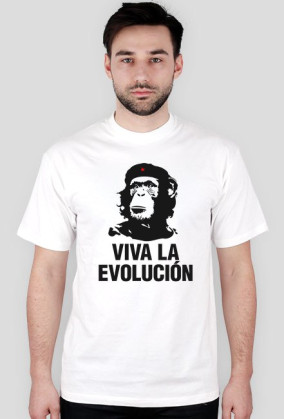 Evolucja  11 kolorów