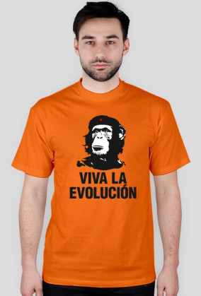 Evolucja  11 kolorów