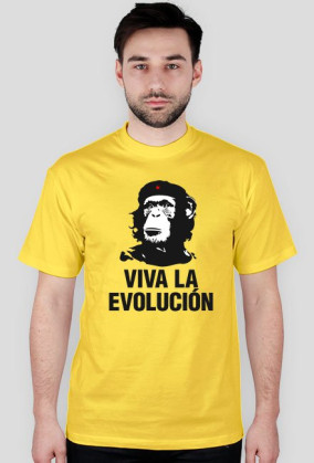 Evolucja  11 kolorów