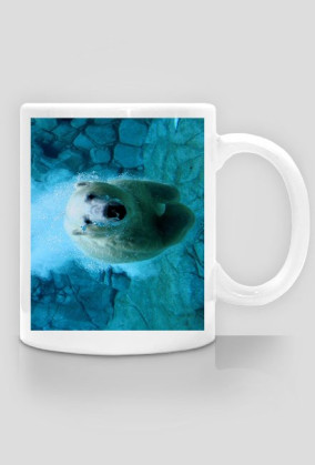 Misio