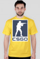 CS