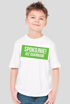 Już ogarniam