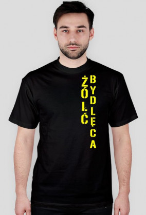 Żółć