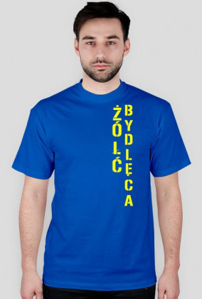 Żółć
