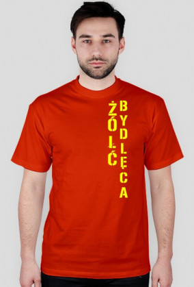 Żółć