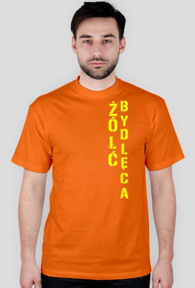Żółć