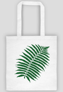 Fern