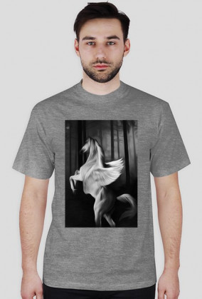 Koszulka Męska Pegaz