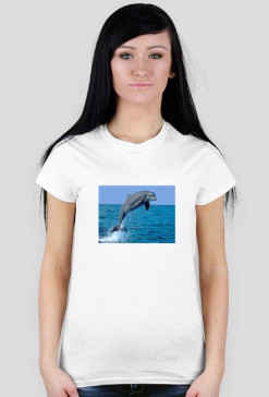 delfin
