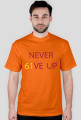 NEVER 61VE UP