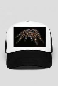 czapka pająka
