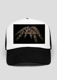 czapka pająka
