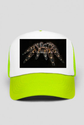 czapka pająka