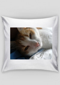 Poduszka z kotem