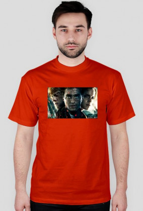 Koszula Harrego Pottera