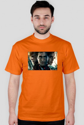 Koszula Harrego Pottera