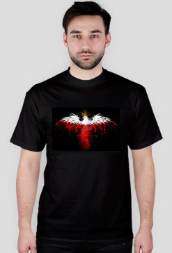 T shirt męski