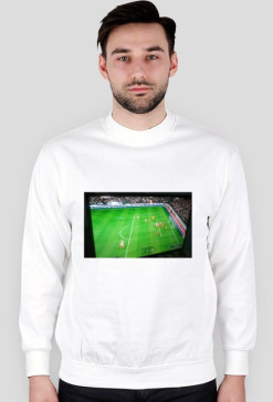 Bluza