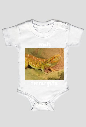 Mały terrarysta